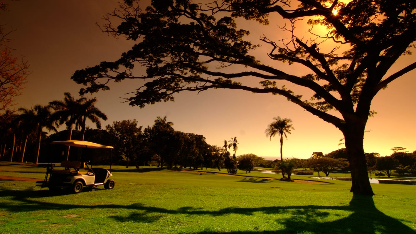 About Africa Golf & Safari